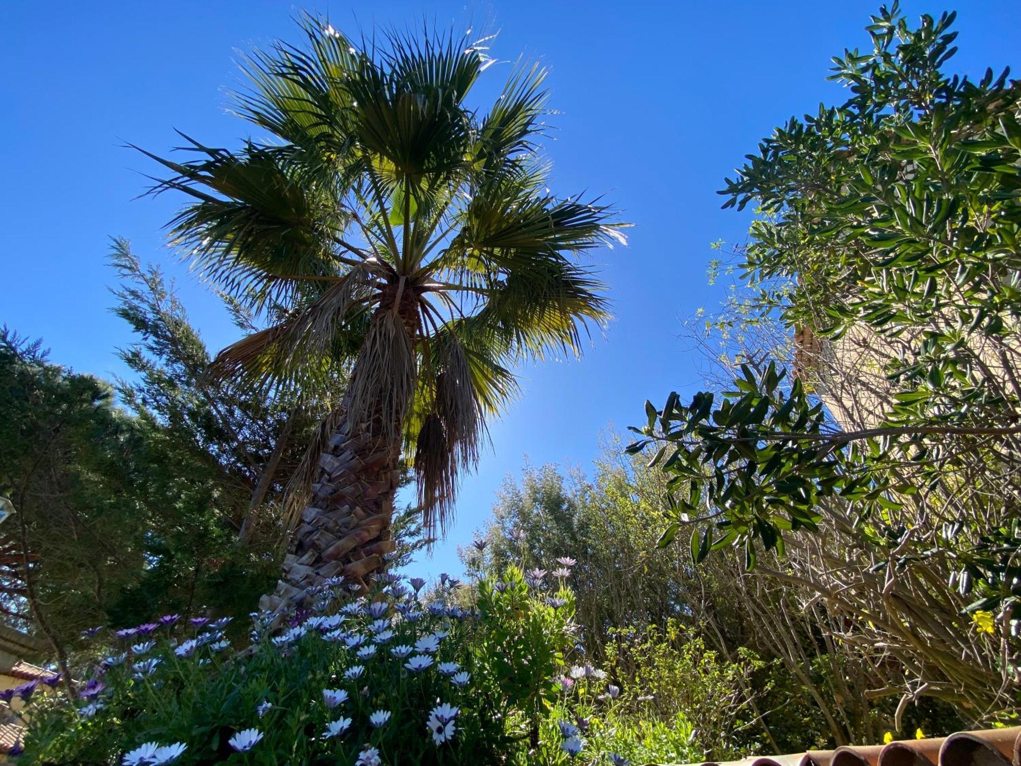 Giens - A Pied -9 Couchages Villa *