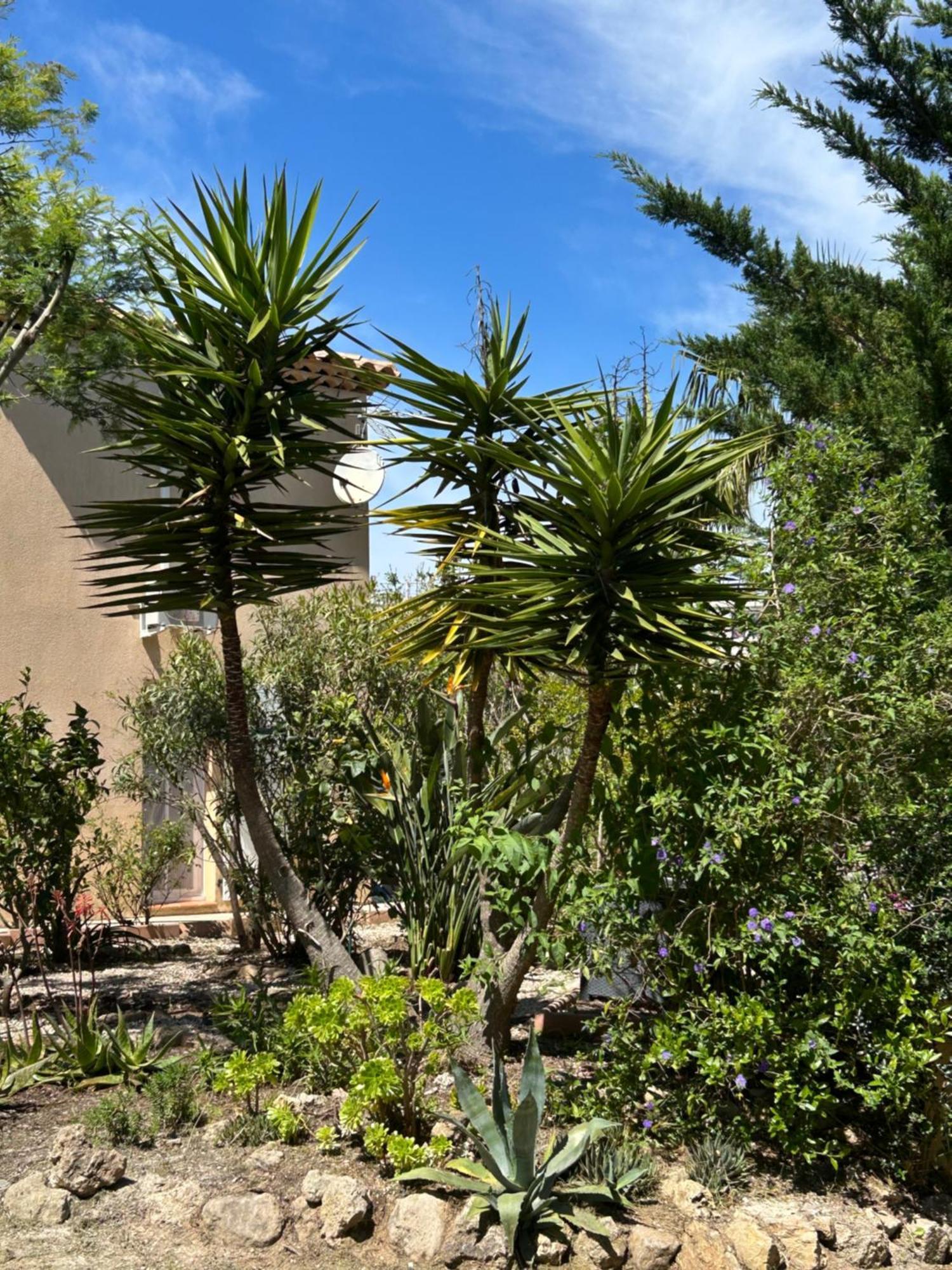 Giens - A Pied -9 Couchages Villa Hyères